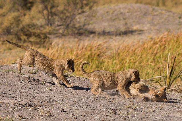 033 Botswana, Okavango Delta.jpg